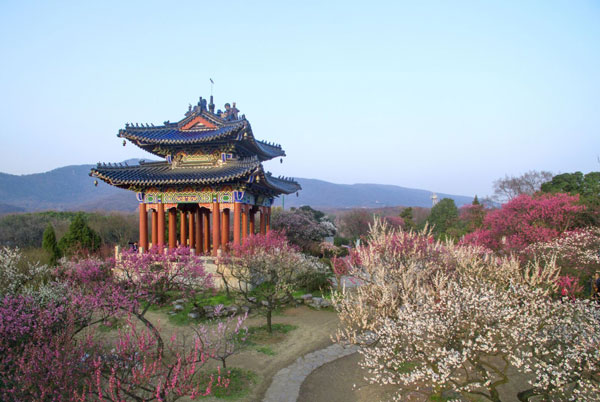 南京梅花山什么时候去最好 南京梅花山什么季节去