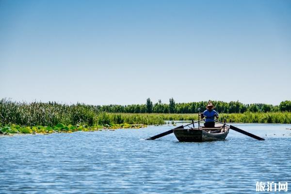 白洋淀和衡水湖哪个好玩 白洋淀和衡水湖有什么区别 白洋淀和衡水湖哪个好玩 白洋淀和衡水湖有什么区别