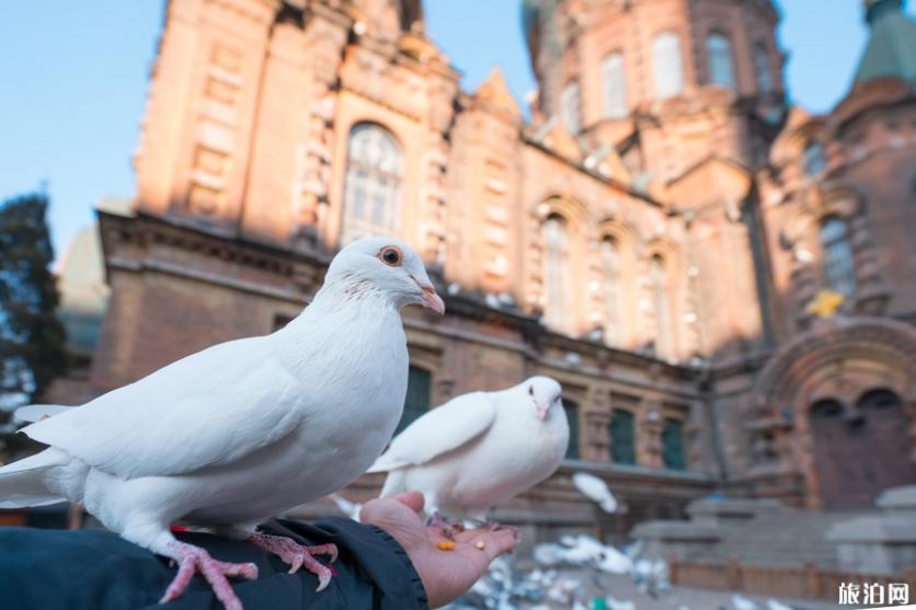 哈尔滨最佳旅游时间 哈尔滨最佳旅游时间