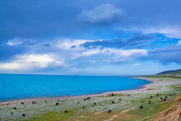 夏天避暑最佳城市 夏天避暑最佳目的地