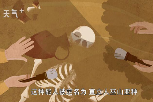 巫山人是最早的人类吗 中国最早人类是巫山人吗