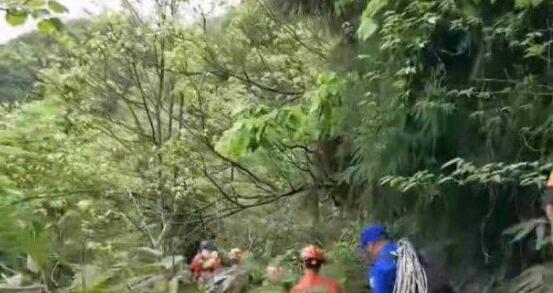 天门山翼装飞行失联女生身亡是真的吗 女翼装大学生天门山失联事件