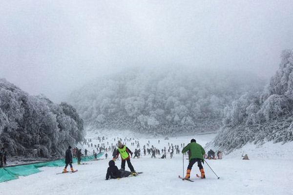 金佛山一月份下雪了吗 金佛山几月份下雪