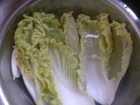 白菜炒羊奶的做法步骤2