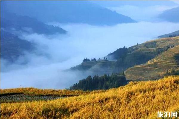 贵州秋游景点有哪些好玩的地方 贵州秋游景点有哪些好玩的地方
