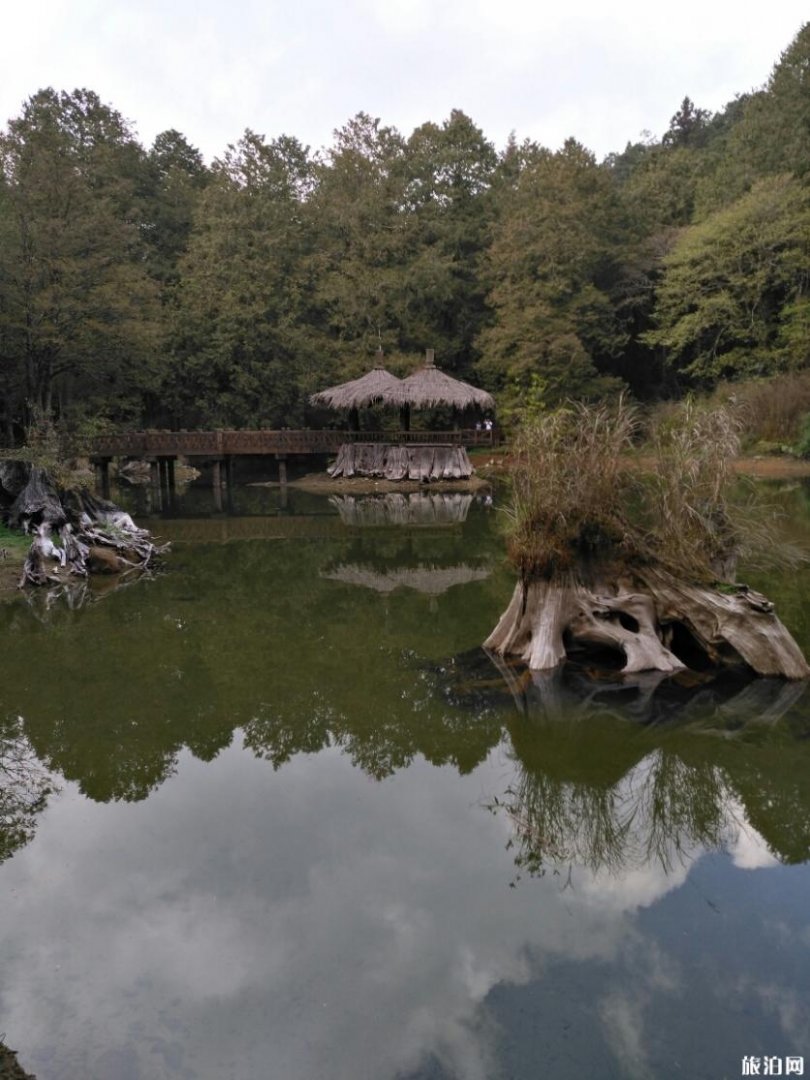 嘉义阿里山公园有什么好玩的