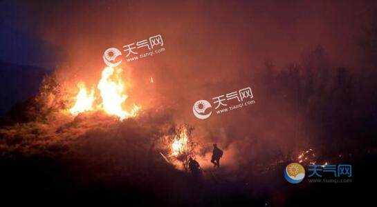 希腊埃维亚岛发生森林火灾 10人送医现场火光四射