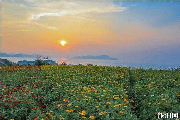 2019东海五渔节交通攻略 2019东海五渔节交通攻略