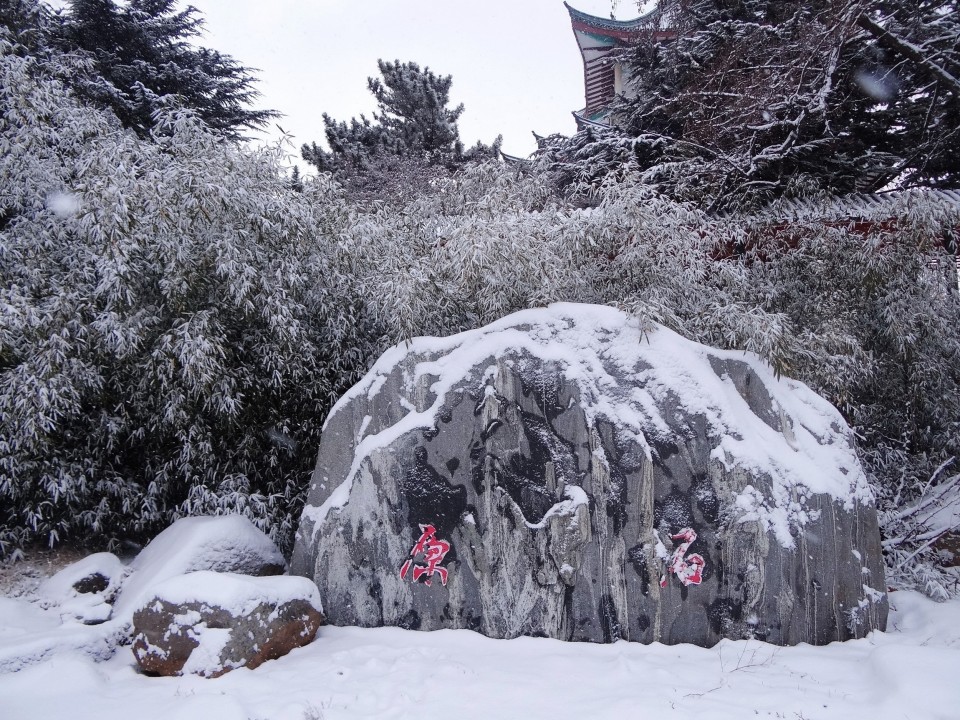 小编为您解答——什么是“阵雪”