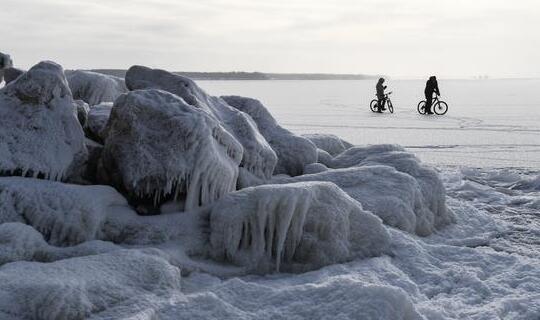 西伯利亚遭遇史上最热6月 北极熊已经开始进城觅食