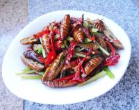 红辣椒煸蚕蛹的做法步骤13