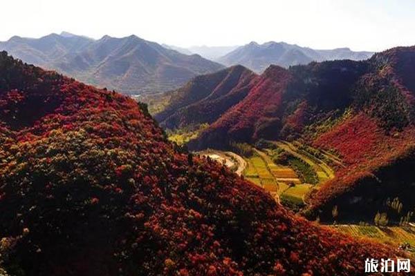 秋天去山东旅游必去的地方推荐