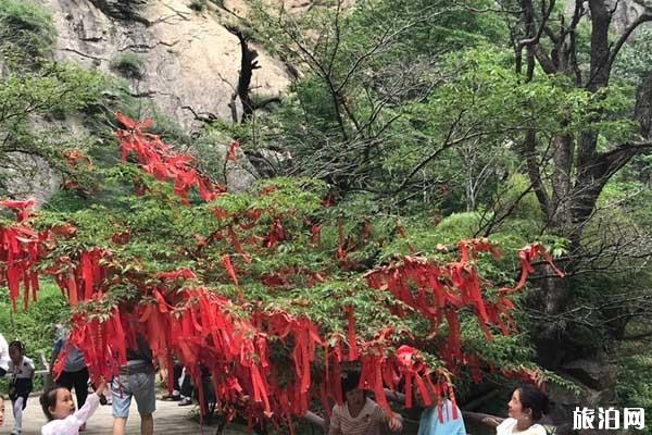 2019西安太平国家森林公园在哪+地址+交通+电话