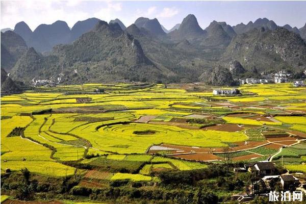 贵州秋游景点有哪些好玩的地方 贵州秋游景点有哪些好玩的地方