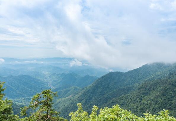 天目山在哪里 天目山是哪个省的