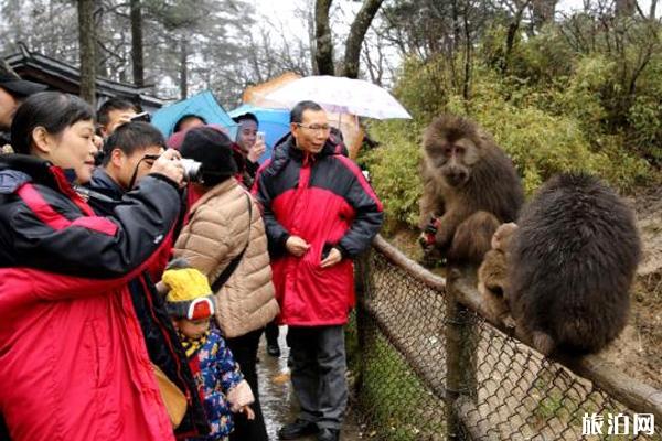 峨眉山冬天封山吗 峨眉山冬天旅游攻略