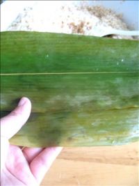 嗜肉族最爱的咸蛋黄五花肉粽的做法步骤8