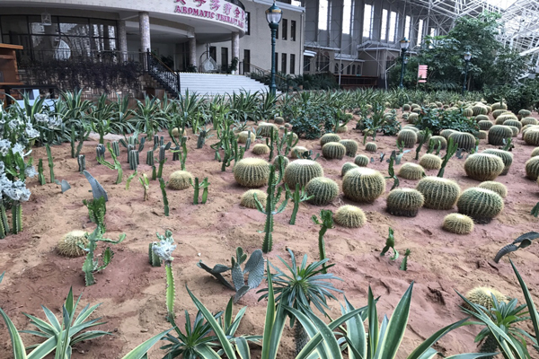 大连香洲旅游度假区 大连香洲旅游度假区攻略