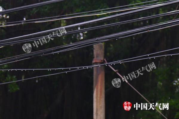 今明天福建龙岩漳州局地大暴雨 下周起遭寒潮天气有霜冻