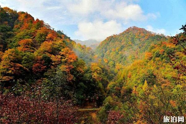 四川光雾山红叶节 2019时间+观赏路线推荐