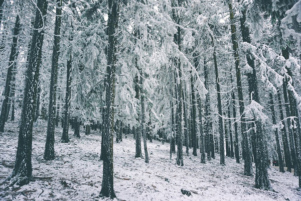 重庆看雪景的地方有哪些 重庆哪里有雪景