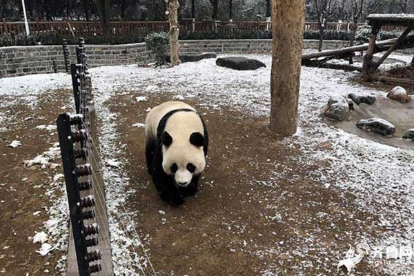 山东济南等地迎来初雪 发布今冬首个道路结冰黄色预警