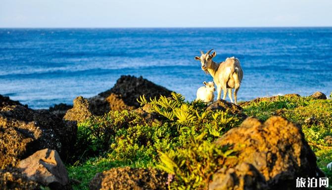 兰屿有哪些当地特色值得一览 兰屿有哪些当地特色值得一览