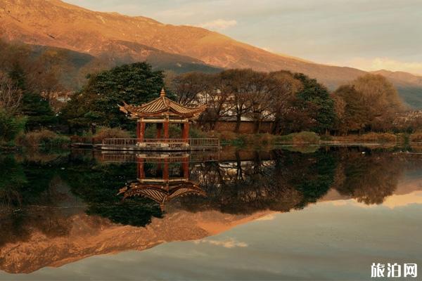 深圳有哪些网红打卡地  2019深圳网红打卡攻略