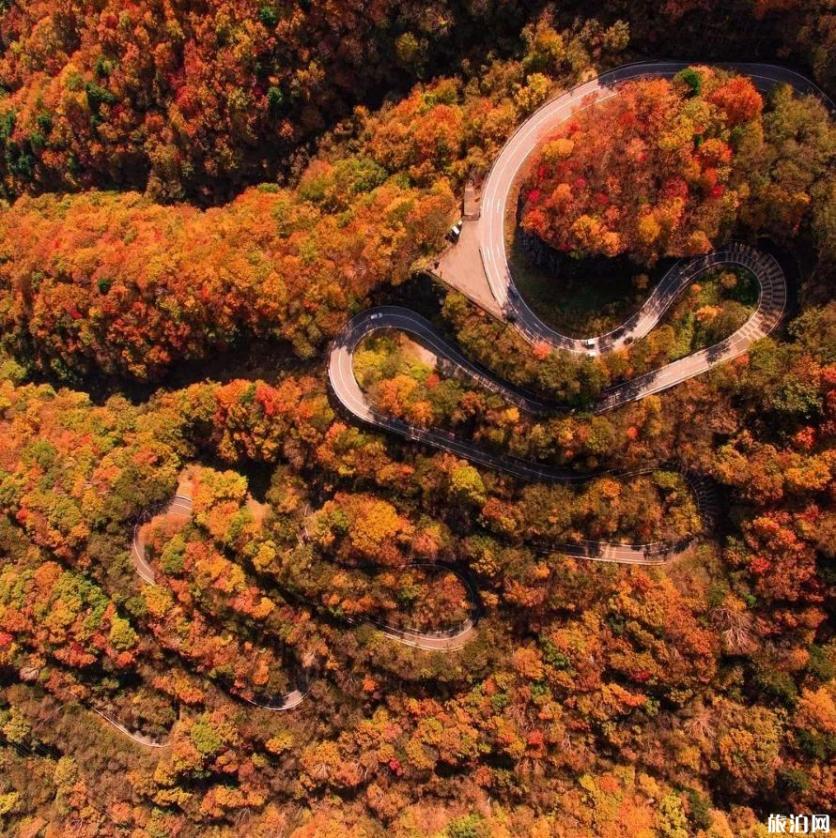 2019日本赏枫叶的最佳季节+最佳地方