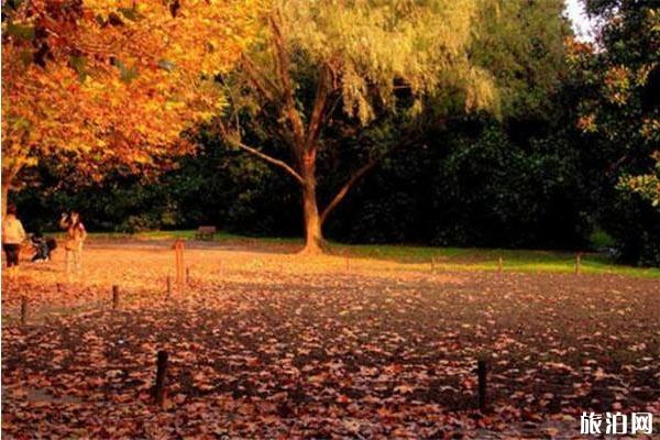 上海秋天哪里景色美