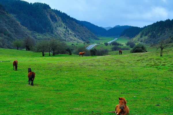 重庆仙女山值得去吗 重庆仙女山好玩吗