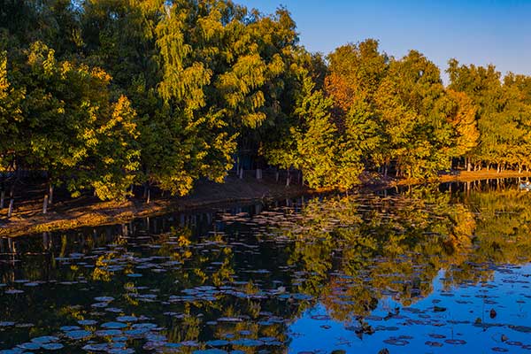 北京免费旅游景点 北京免费旅游景点推荐