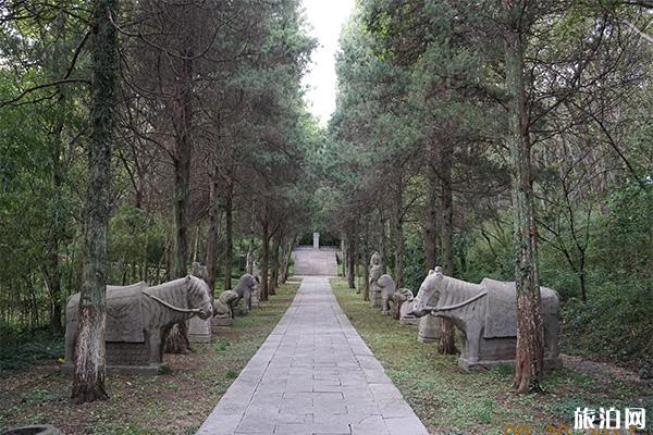 南京浡泥国王墓景区如何走+门票+免费开放日
