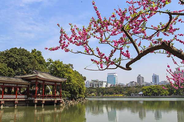 国内赏桃花好去处 国内赏桃花去哪儿好