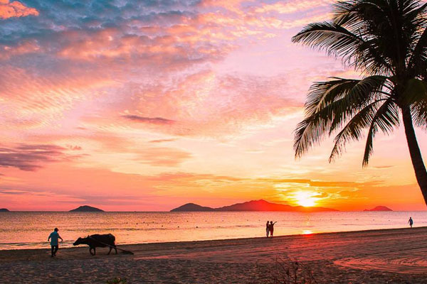 越南旅游跟团好还是自由行好 越南旅游是跟团好还是自由行好