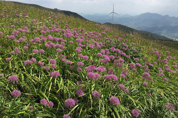 毕节韭菜坪几月去最好 毕节到韭菜坪怎么坐车