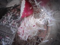 猪肉萝卜饺子的做法步骤1