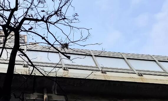 明后两天湖北阳光开始露脸 省会武汉气温回暖至21℃