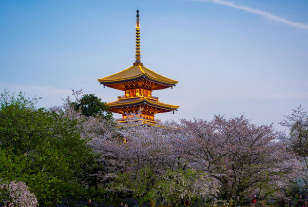 国内哪些地方有樱花 国内赏樱花的地方