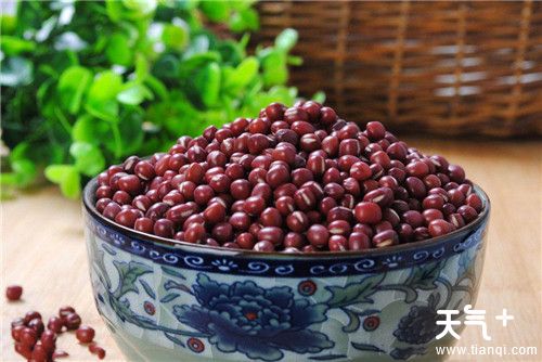 吃什么减肥？十大食物让您越吃越瘦