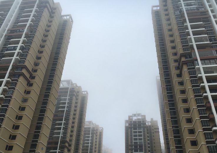 美！海南7市县发布大雾预警信号 椰城海口仿若仙境
