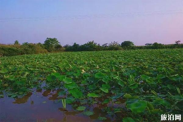 湖北适合全家出游的农家乐圣地有哪些 湖北适合全家出游的农家乐圣地有哪些