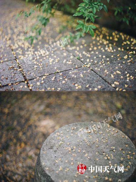 浙江启动暴雨三级应急响应 宁波温州等有大暴雨