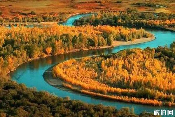 内蒙古秋天去哪里旅游