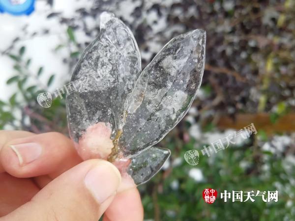 下周湖北将开启低温冰冻模式 武汉最低-7℃再创今冬新低