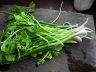香菇猪肉水饺的做法步骤2