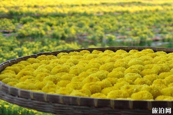 婺源购物去哪里 婺源购物地点推荐