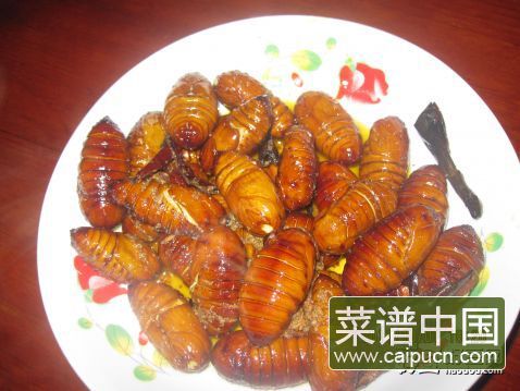 飘香蚕蛹
