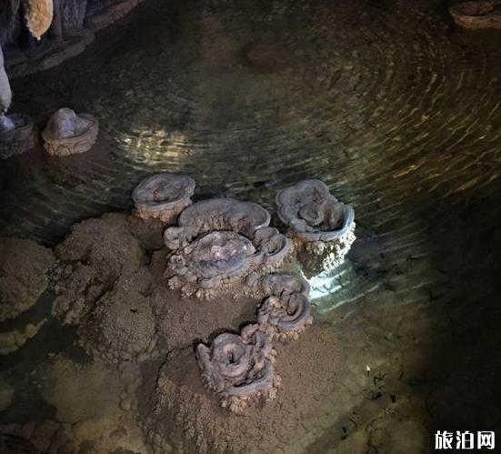 荔波旅游攻略景点必去有哪些