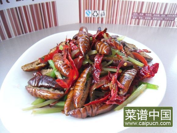 红辣椒煸蚕蛹